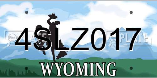 4SLZ017 Wyoming License Plate