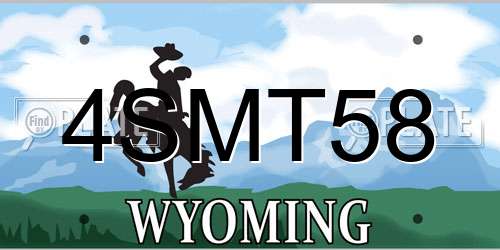 4SMT58 Wyoming License Plate