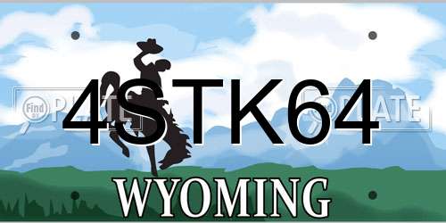 4STK64 Wyoming License Plate