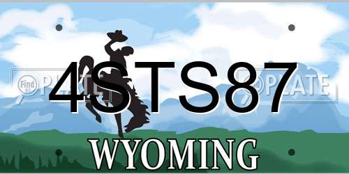 4STS87 Wyoming License Plate