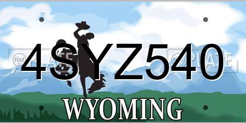 4SYZ540 Wyoming License Plate