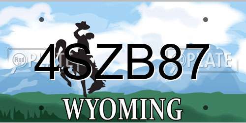 4SZB87 Wyoming License Plate