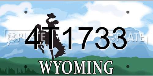4T1733 Wyoming License Plate