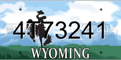 4T73241 Wyoming License Plate