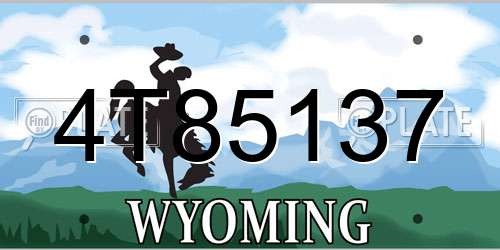 4T85137 Wyoming License Plate