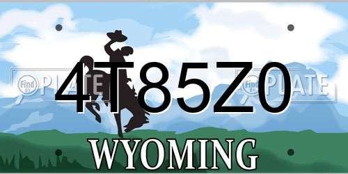 4T85Z0 Wyoming License Plate
