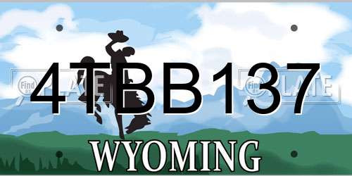 4TBB137 Wyoming License Plate