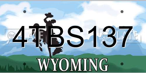 4TBS137 Wyoming License Plate