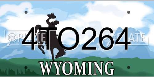 4TO264 Wyoming License Plate