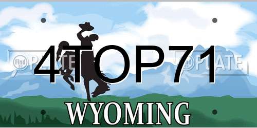 4TOP71 Wyoming License Plate