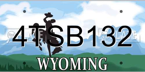 4TSB132 Wyoming License Plate