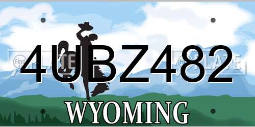 4UBZ482 Wyoming License Plate