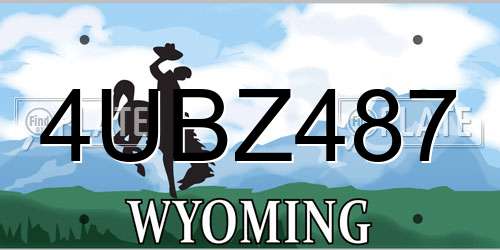 4UBZ487 Wyoming License Plate