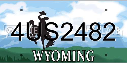 4US2482 Wyoming License Plate