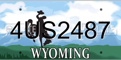 4US2487 Wyoming License Plate