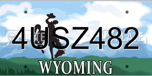 4USZ482 Wyoming License Plate