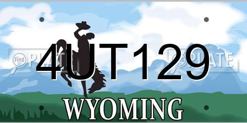 4UT129 Wyoming License Plate