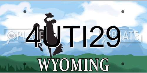 4UTI29 Wyoming License Plate