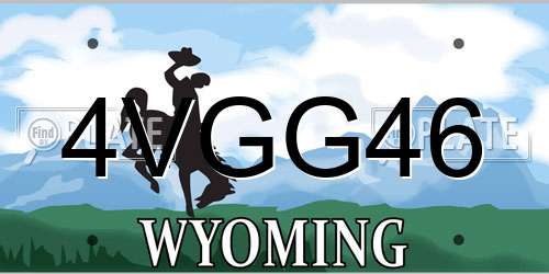 4VGG46 Wyoming License Plate