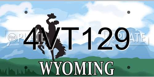 4VT129 Wyoming License Plate