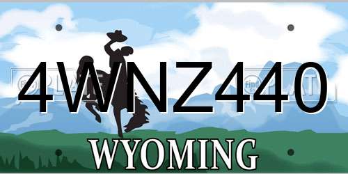 4WNZ440 Wyoming License Plate