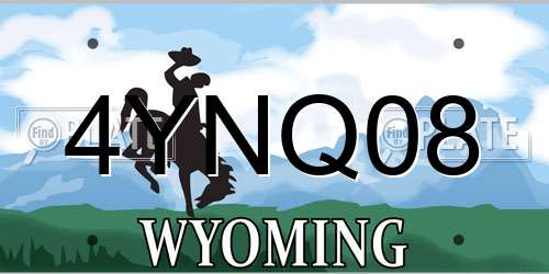 4YNQ08 Wyoming License Plate