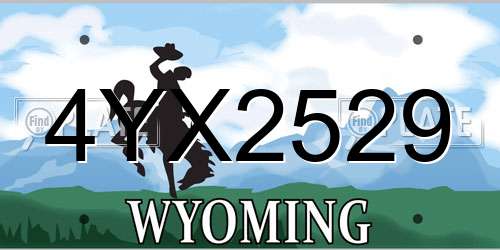 4YX2529 Wyoming License Plate