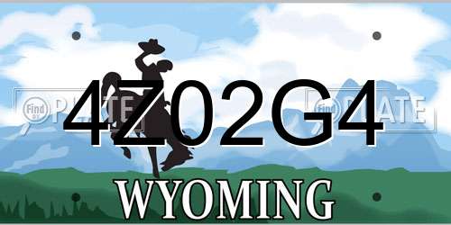 4Z02G4 Wyoming License Plate