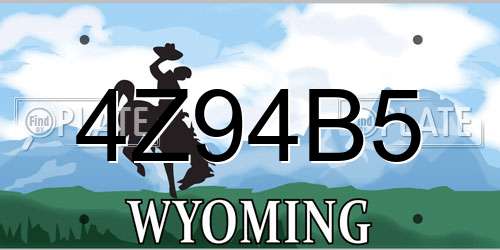 4Z94B5 Wyoming License Plate