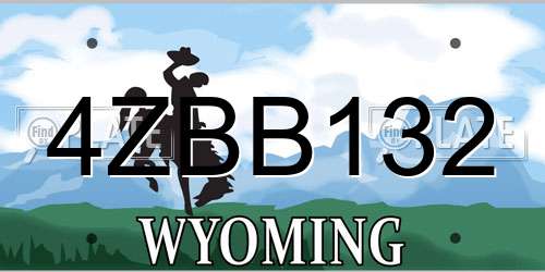 4ZBB132 Wyoming License Plate