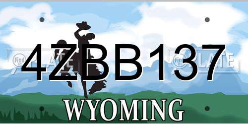 4ZBB137 Wyoming License Plate