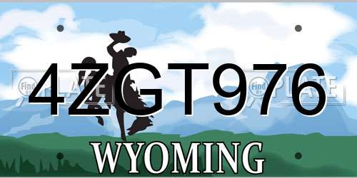 4ZGT976 Wyoming License Plate