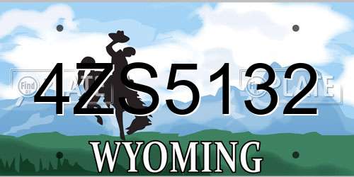 4ZS5132 Wyoming License Plate