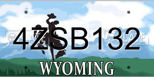 4ZSB132 Wyoming License Plate