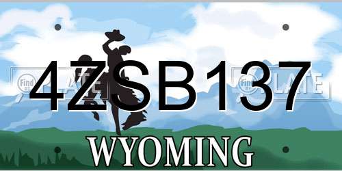 4ZSB137 Wyoming License Plate