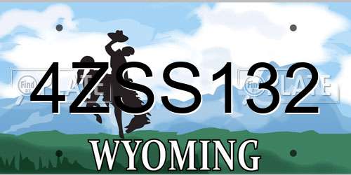 4ZSS132 Wyoming License Plate
