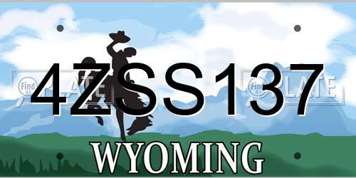 4ZSS137 Wyoming License Plate
