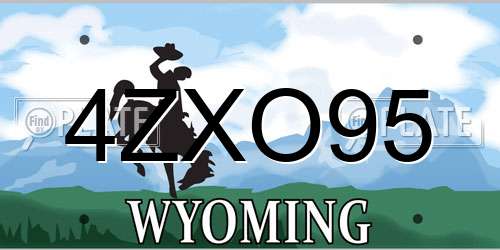 4ZXO95 Wyoming License Plate