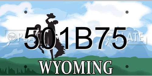 501B75 Wyoming License Plate
