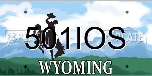 501IOS Wyoming License Plate