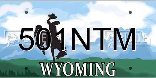 501NTM Wyoming License Plate