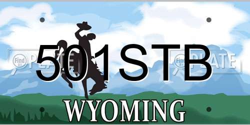501STB Wyoming License Plate
