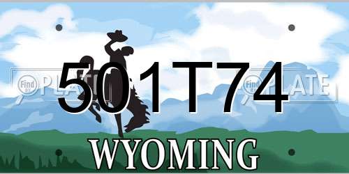 501T74 Wyoming License Plate