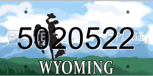 5020522 Wyoming License Plate
