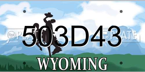 503D43 Wyoming License Plate