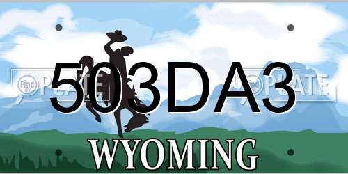 503DA3 Wyoming License Plate