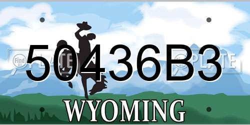 50436B3 Wyoming License Plate