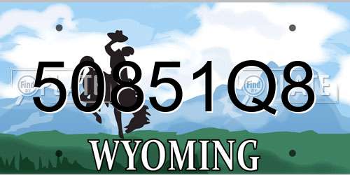 50851Q8 Wyoming License Plate