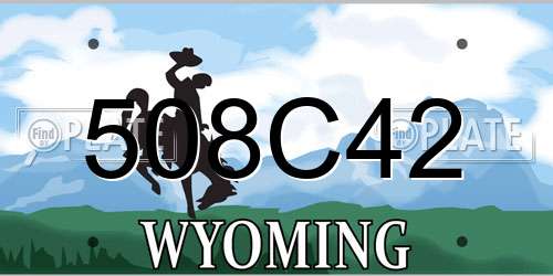 508C42 Wyoming License Plate