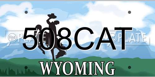 508CAT Wyoming License Plate
